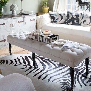 living room with carpet on floor and zebra patterned