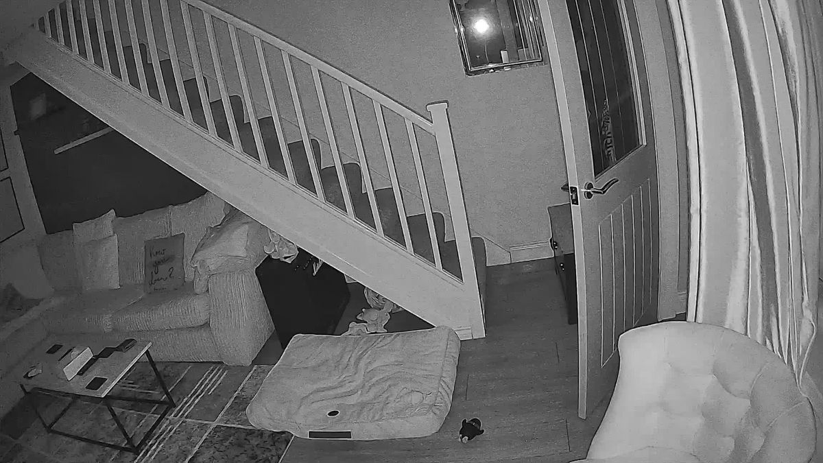 SpotCam Mibo pet camera review
