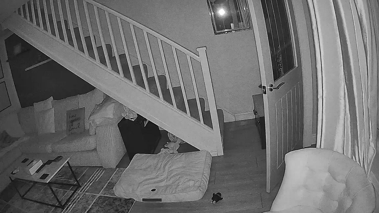 SpotCam Mibo pet camera review
