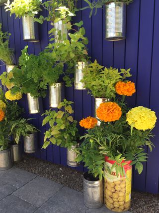 hanging basket ideas: herbs in hanging tin cans
