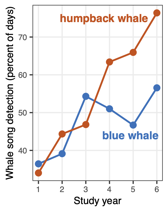 A graph of the percentage of days whale song was detected across the study period, showing a continuous increase for humpback whales and a variable but overall increase for blue whales.