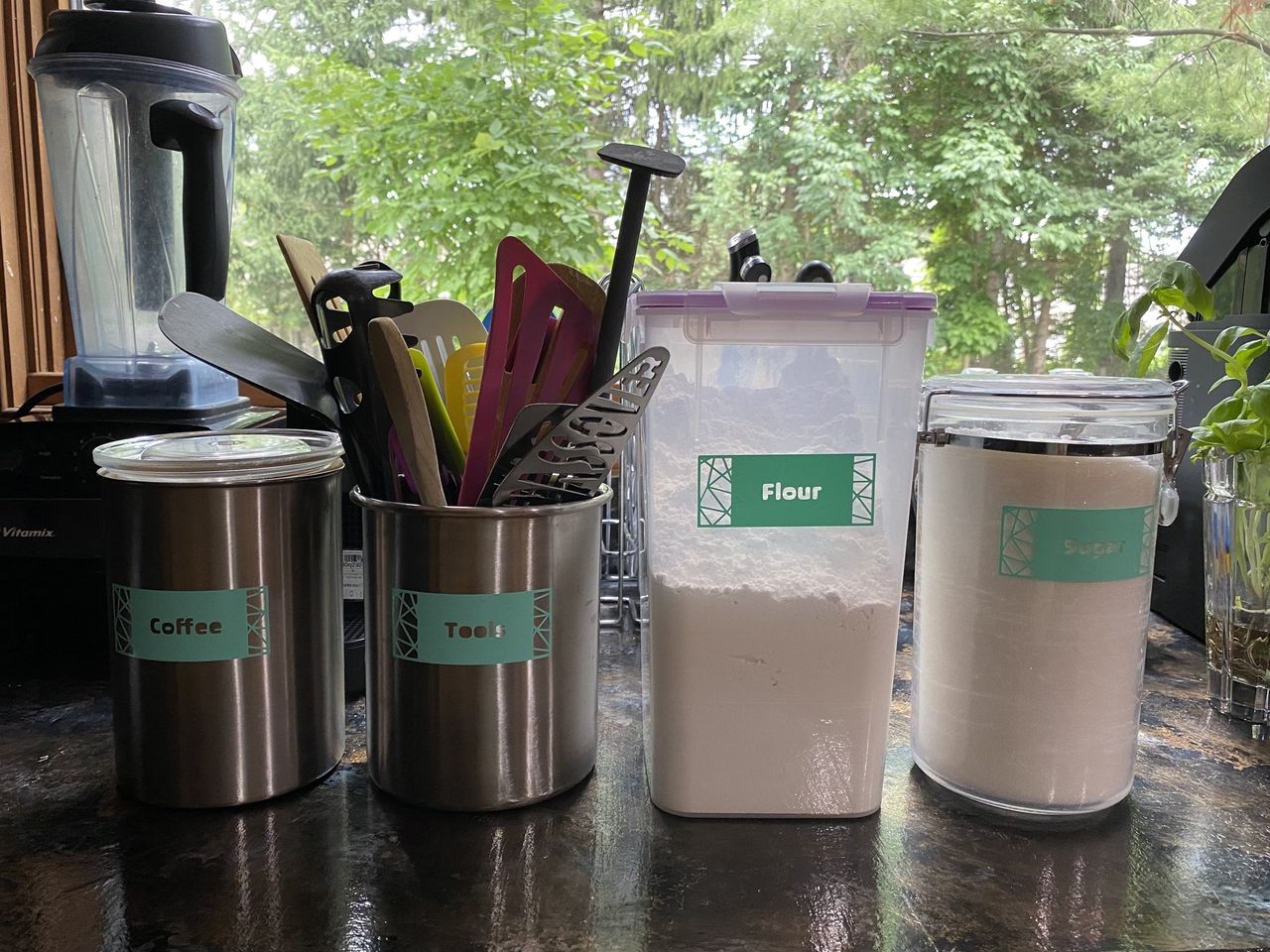 Cricut Joy Labels