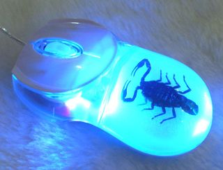 The Insect Amber Computer Mouse