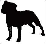 966DFBE9-93F1-44B4-9D06-62FEADF77B8F.jpg