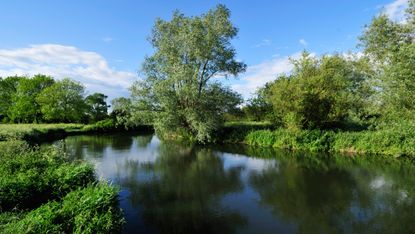 Grantchester Meadows, Cambridge, England