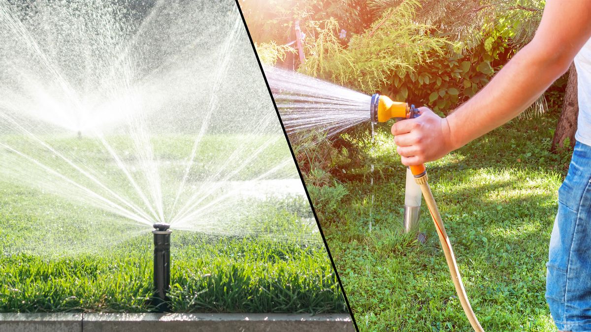 Sprinkler versus hose: which is better for your lawn?