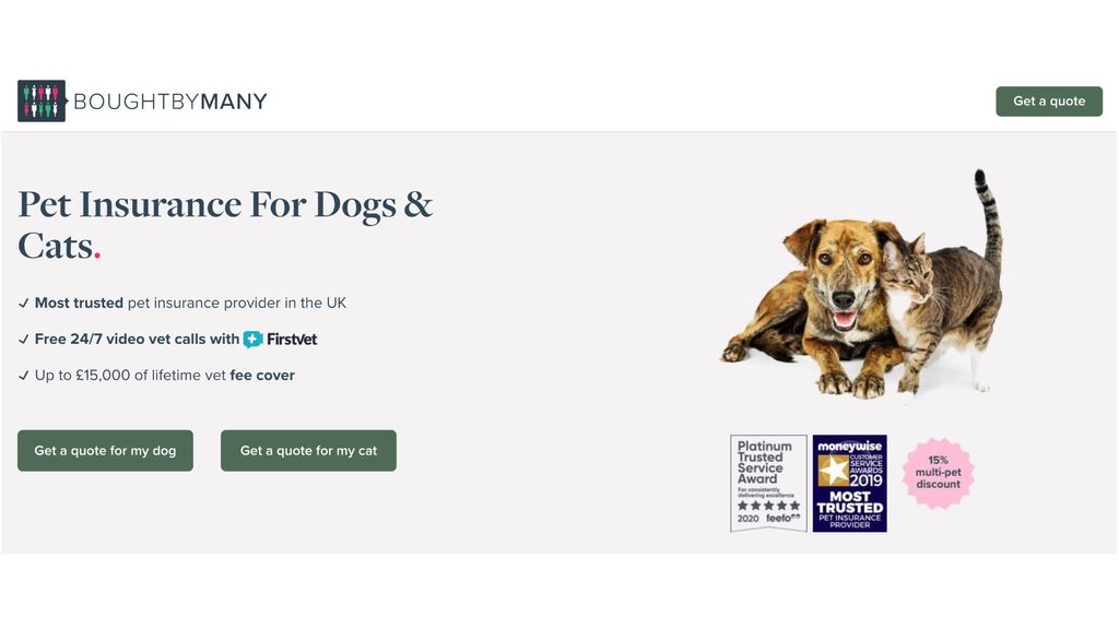 Best pet insurance Essential cover to put your mind at ease PetsRadar