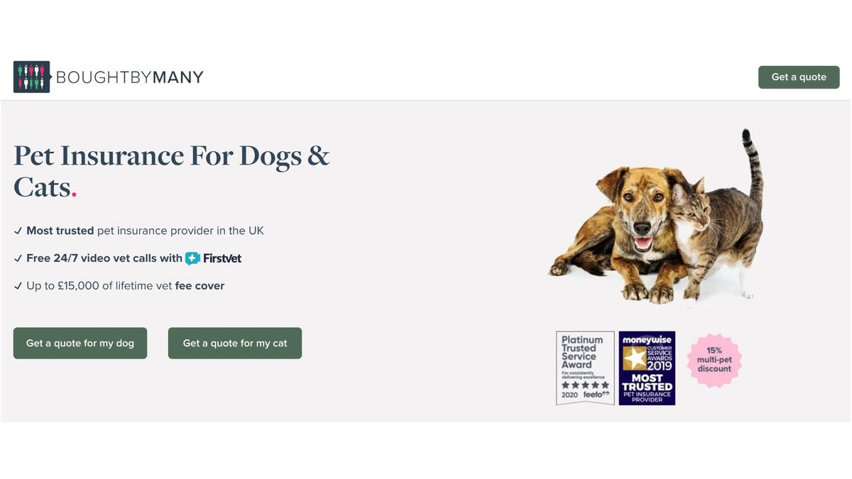 Best pet insurance Essential cover to put your mind at ease PetsRadar