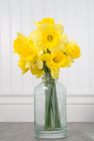 jar of daffodils