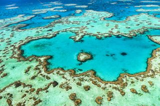 Great Barrier Reef 