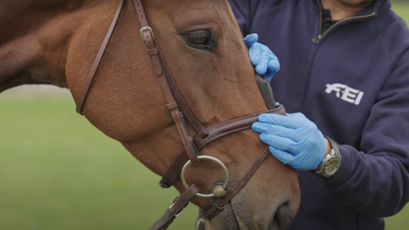 Noseband-measuring-device-&amp;ndash;-permission-from-FEI-to-screenshot-from-video-&amp;ndash;-credit-FEI.png