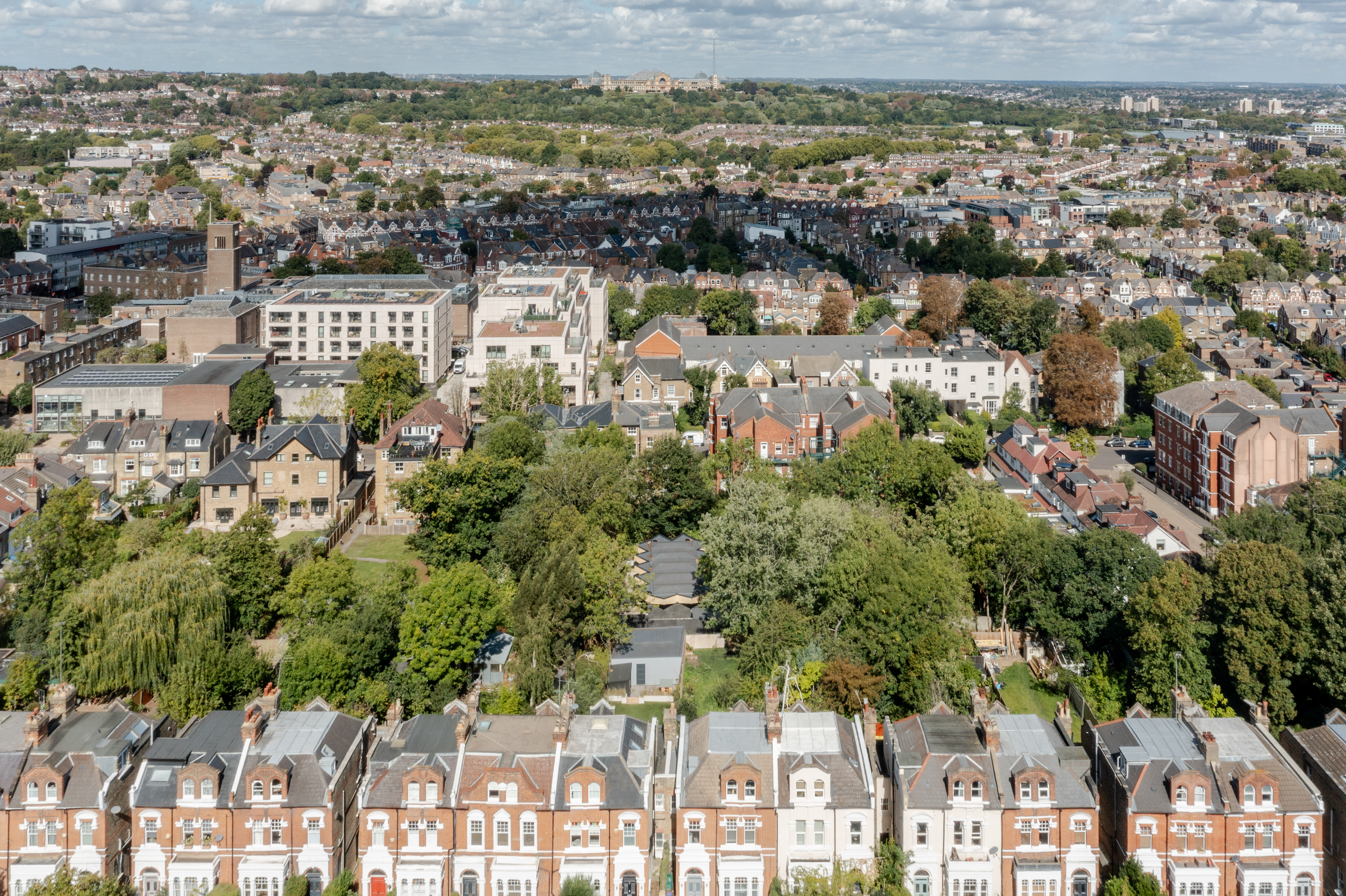 arbour house, a low, one storey home in a back year among trees, but with a distinctive angular roof