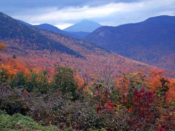 Fall foliage in New Hampshire.