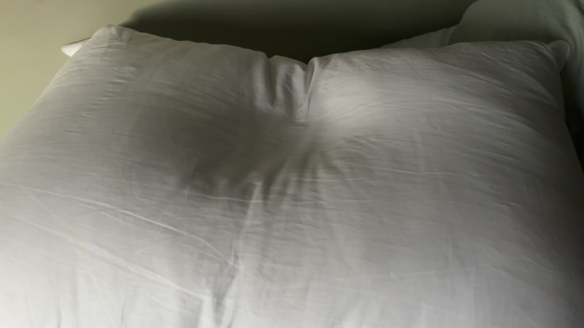 The Helix Down and Feather Pillow 10 seconds after a 10lbs weight had been removed from its surface.