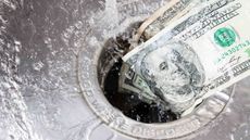 money down the drain photo