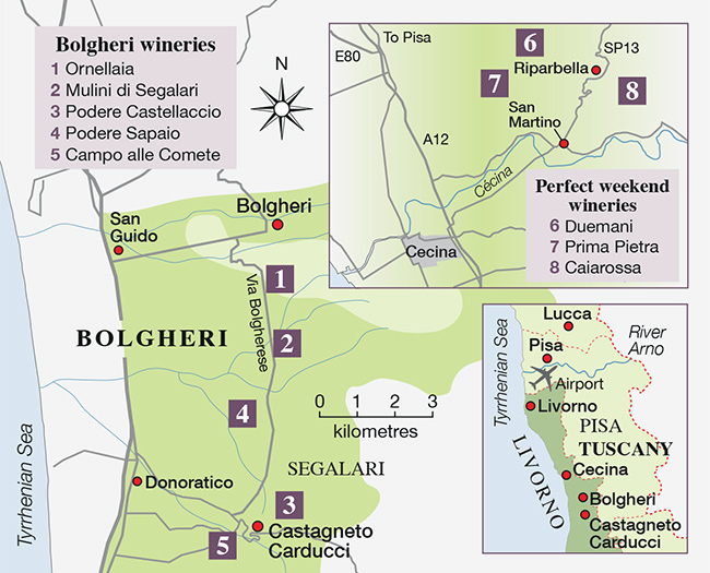 Bolgheri wineries
