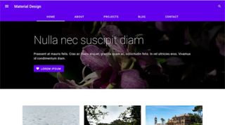 Material Design WP Theme