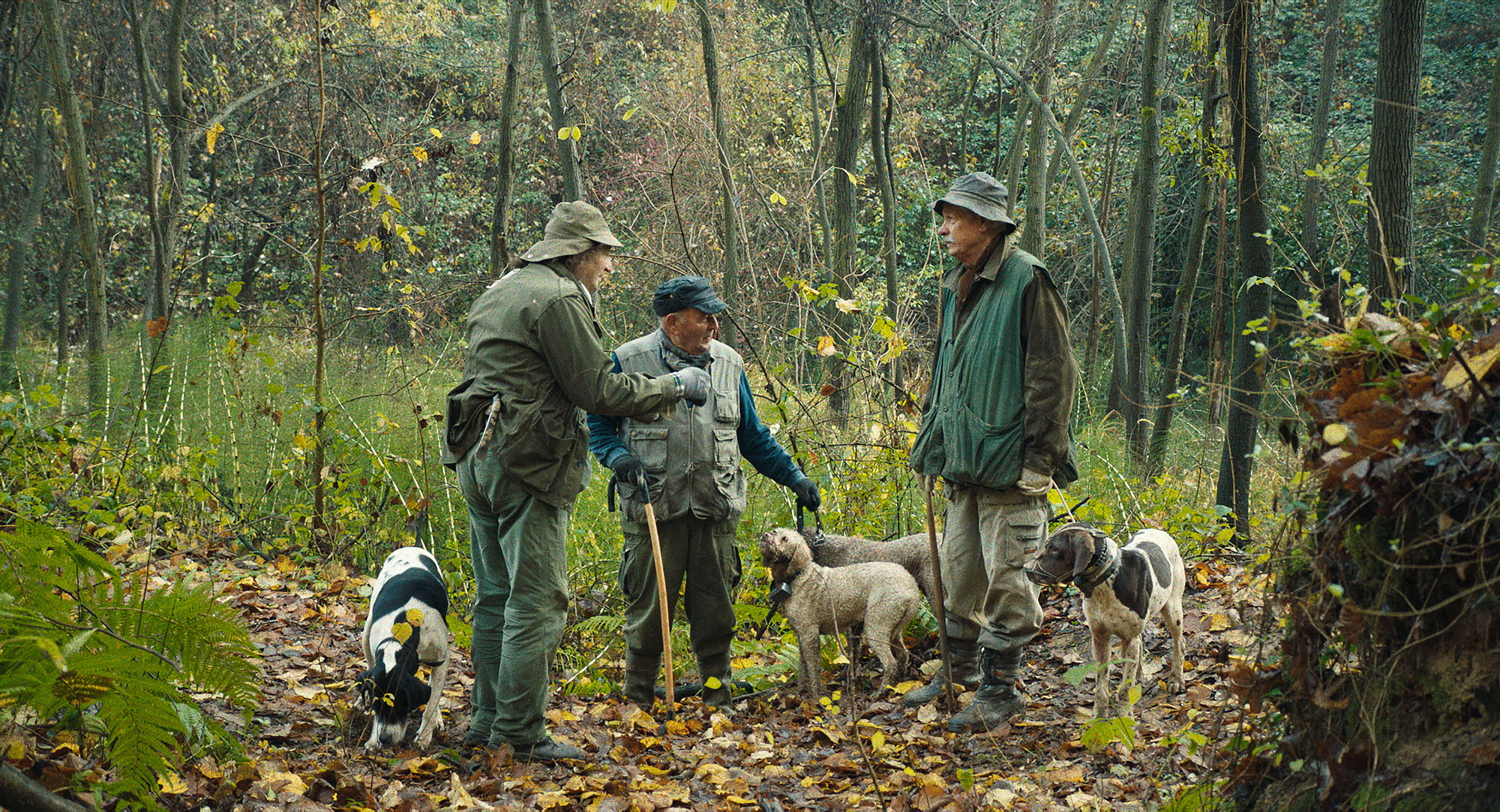 TV tonight Truffle hunters and their dogs.