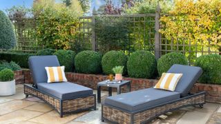modern garden with sun loungers and box hedge