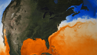 A color-enhanced image of surface water temperatures shows the Gulf Stream crossing the Atlantic Ocean from the Florida Straits. 