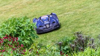 Husqvarna robot lawn mower on grass