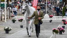Pau Horse Trials 2020 final trot-up: Austin O'Connor and Colorado Blue