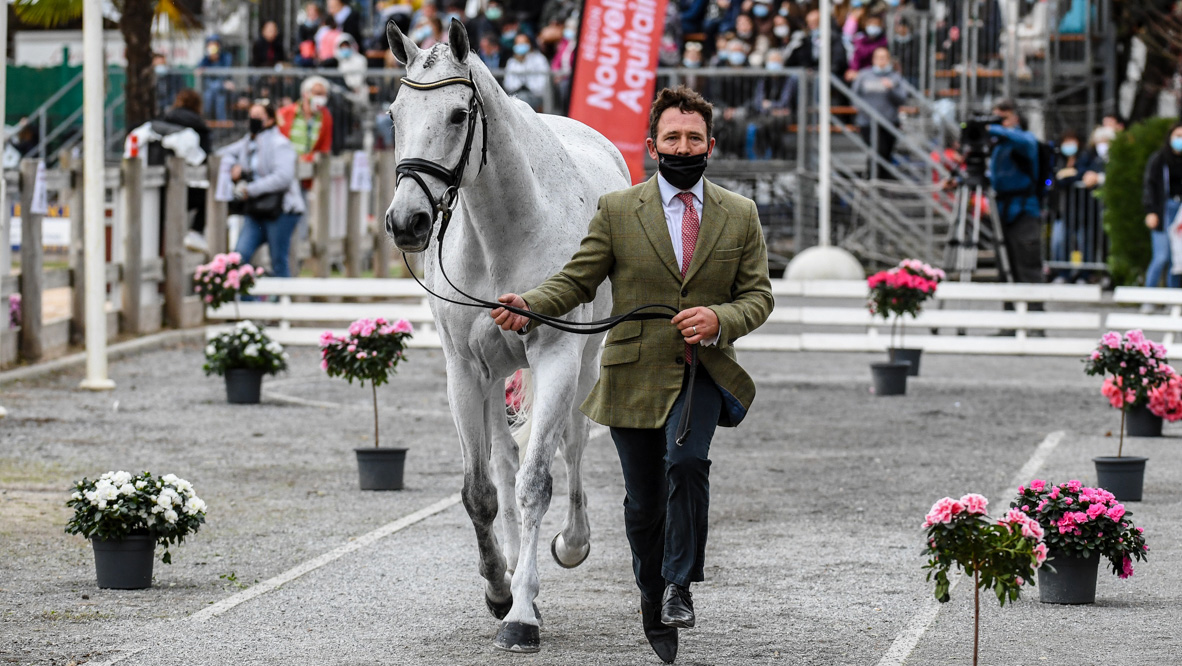 Pau Horse Trials 2020 final trot-up: Austin O'Connor and Colorado Blue