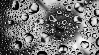 GuruShots - Monochrome Moments Jan 26