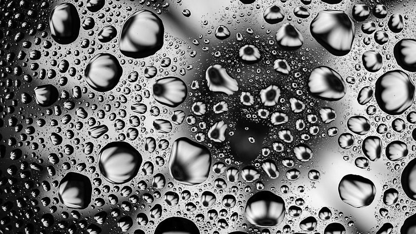 GuruShots - Monochrome Moments Jan 26