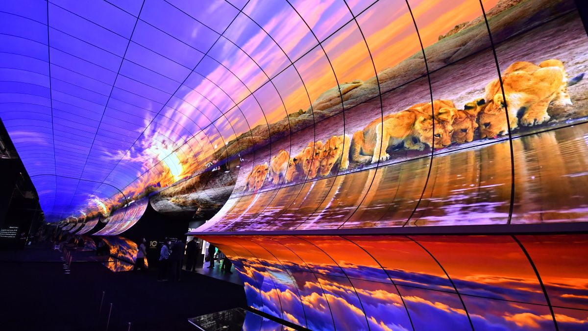 A Massive Lg Oled Display Wows Attendees At Ces Avnetwork