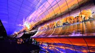 Lions on safari are brought to life in stunning detail on LG's OLED display at CES. 
