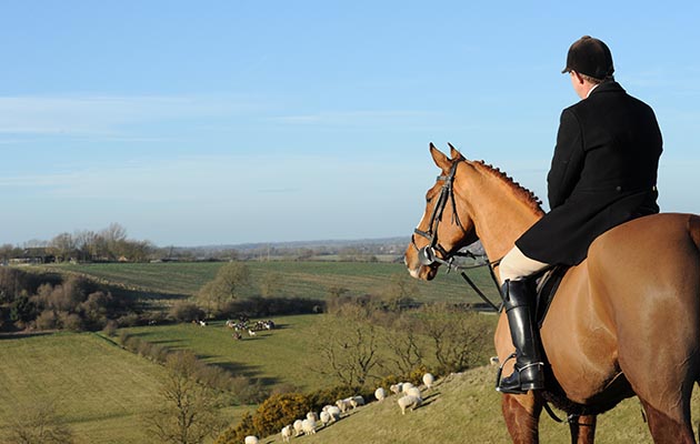 Fernie Hunt on 08 03 2015