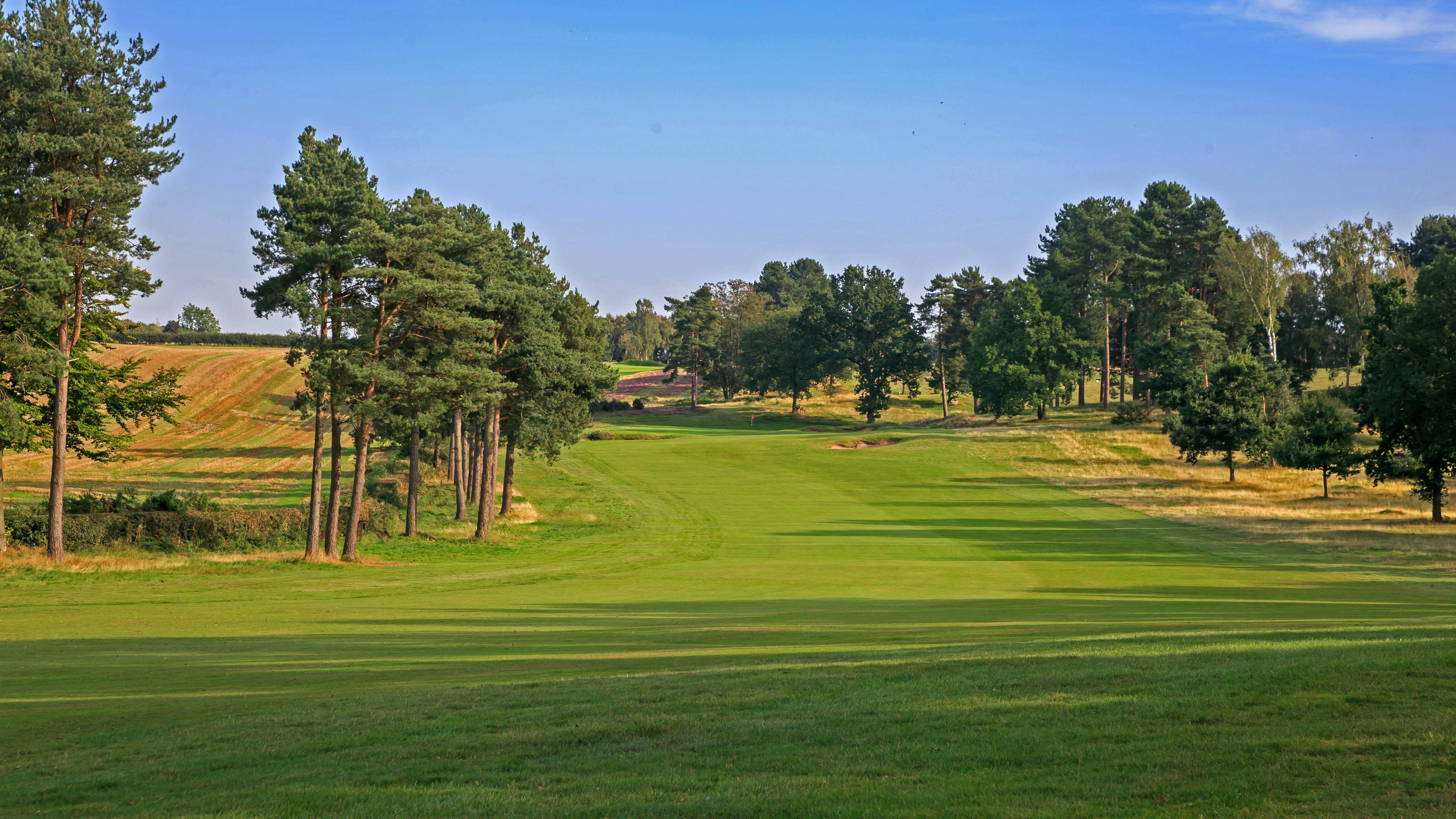 Coxmoor - Hole 16
