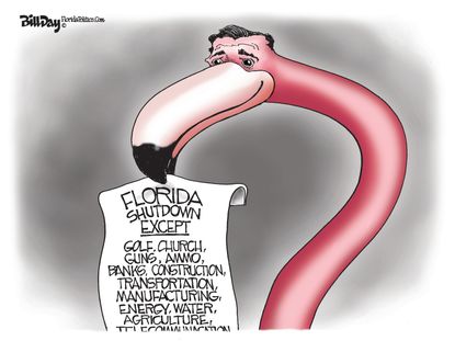 Political Cartoon U.S. Florida Ron DeSantis COVID-19 shutdown flamingo churches
