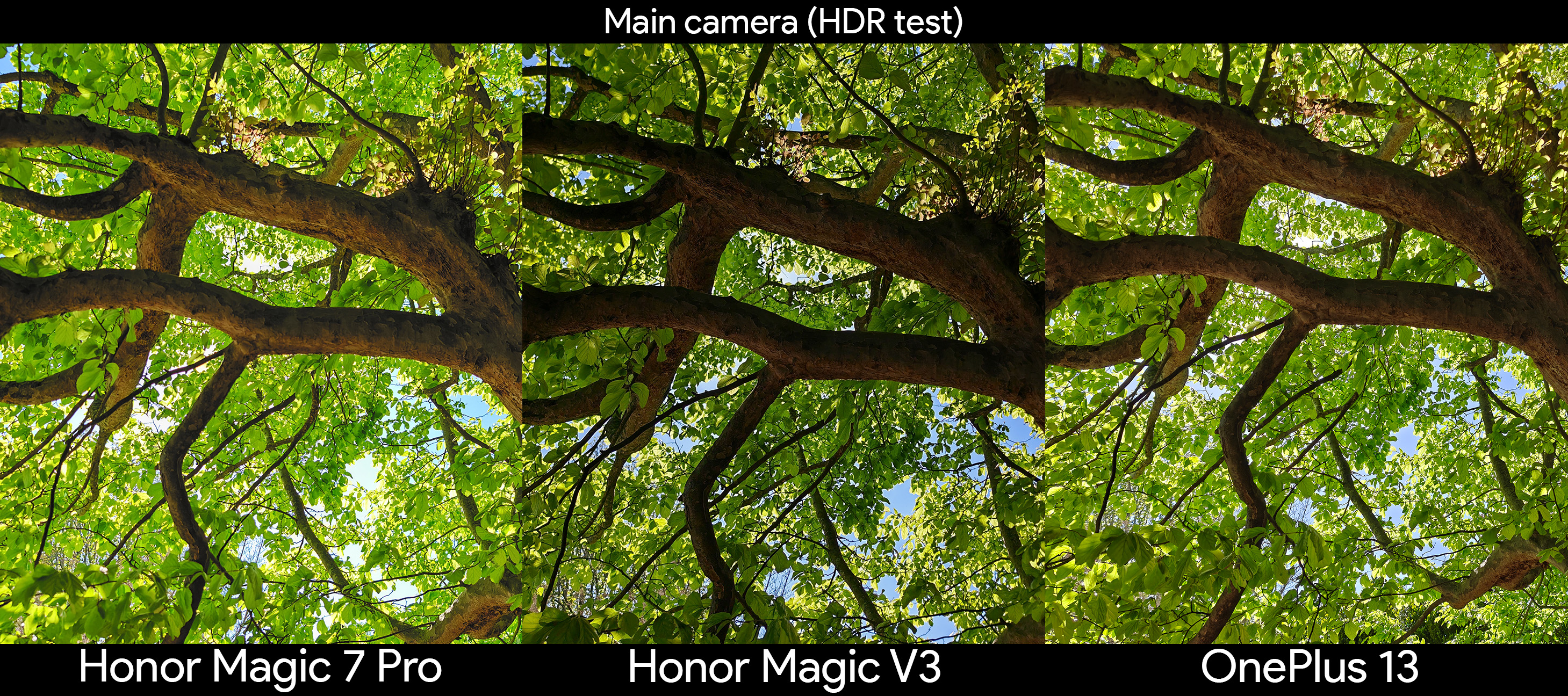 Comparing the HDR capabilities of the main cameras between the Honor Magic V3, Honor Magic 7 Pro, and OnePlus 13 using a dark undercanopy of a tree