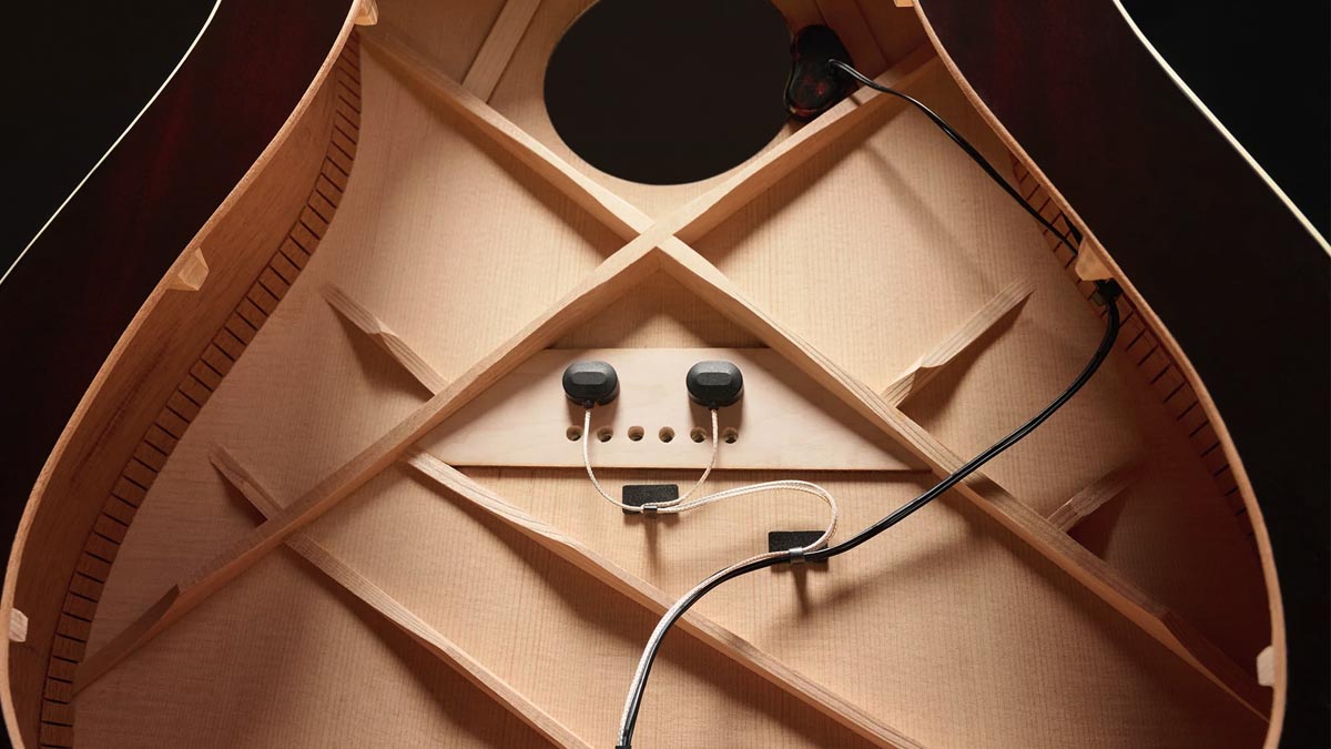 Gibson x Baggs HiFi DNA Pickup