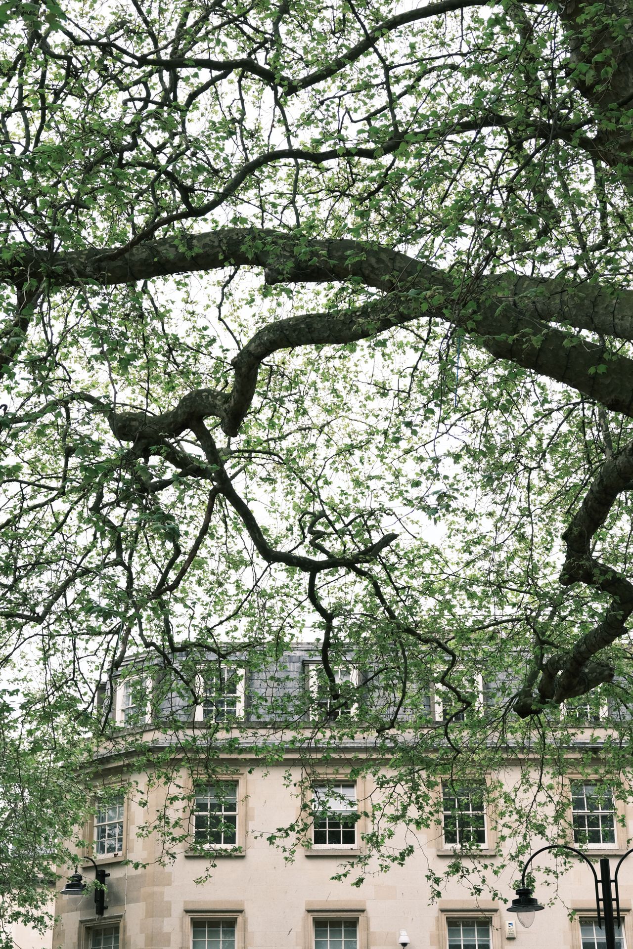 A photo taken on a Fujifilm GFX100RF medium format camera