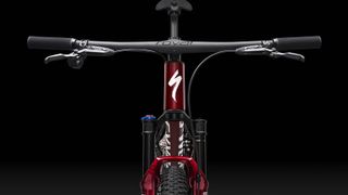 Detail of Specialized Epic World Cup bike