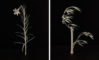 Self-taught sculptor Masaya Hashimoto makes delicate plant sculptures out of deer bones and antlers