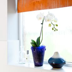 A white orchid plant on a bathroom window sill