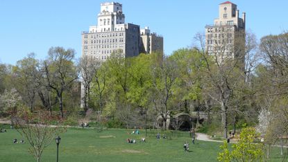 Prospect Park, Brooklyn