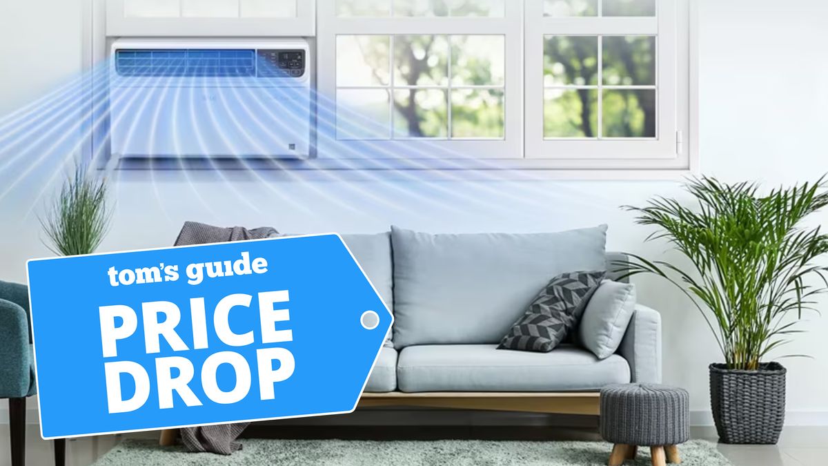 LG DUAL Inverter Air Conditioner shown in living room