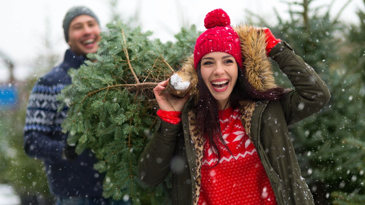 A man and a woman carrying a Christmas tree