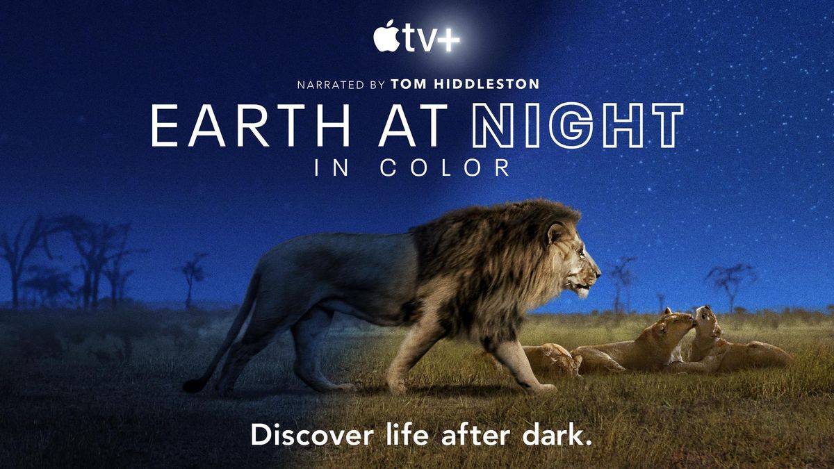 Earth At Night Key Art