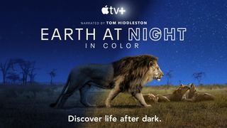 Earth At Night Key Art