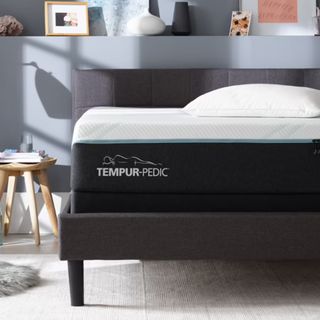 Tempur-Pedic ProAdapt Medium Firm Hybrid Mattress in a contemporary bedroom
