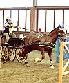 D9B58F9B-C7F1-4EE1-A902-1573CE6678DF.jpg