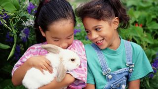 Two young girls with rabbit