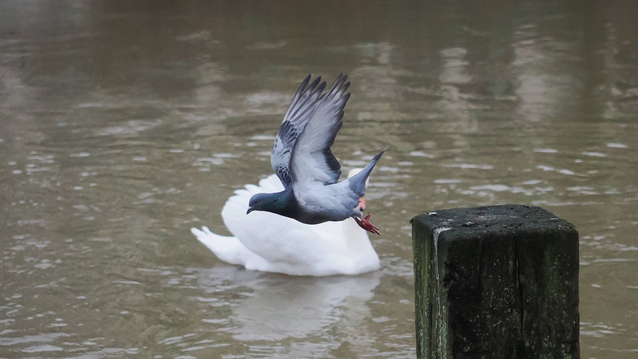 A photo taken on an OM System OM-1 Mark II Micro Four Thirds mirrorless camera