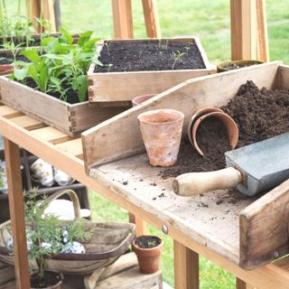 The Potting Bench in a greenhouse